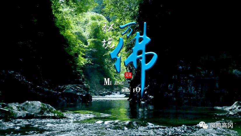 高效问答网站-长款白衬衣搭配牛仔短裤,这样时尚大气的搭配,你喜欢吗?为您解答疑惑