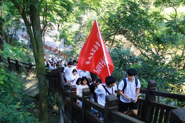 维京人之战