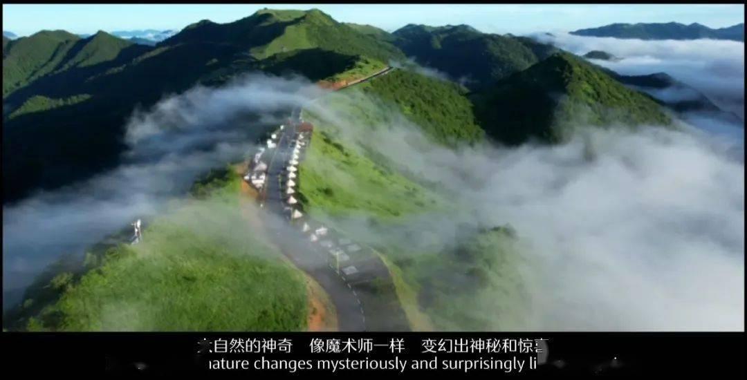 王子娇:让司法之光温暖千家万户(洹法故事)