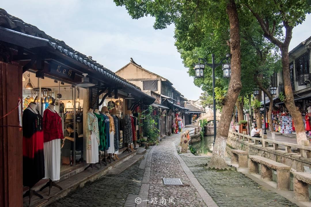 爱吃叶子的毛毛虫